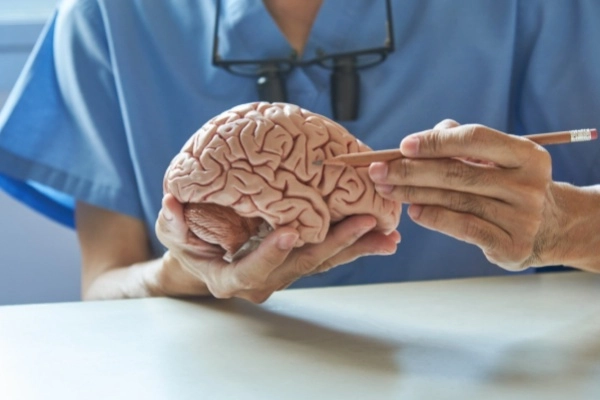 10 Mind-Blowing Scientific Facts That’ll Make You Go “Wait, What?!”